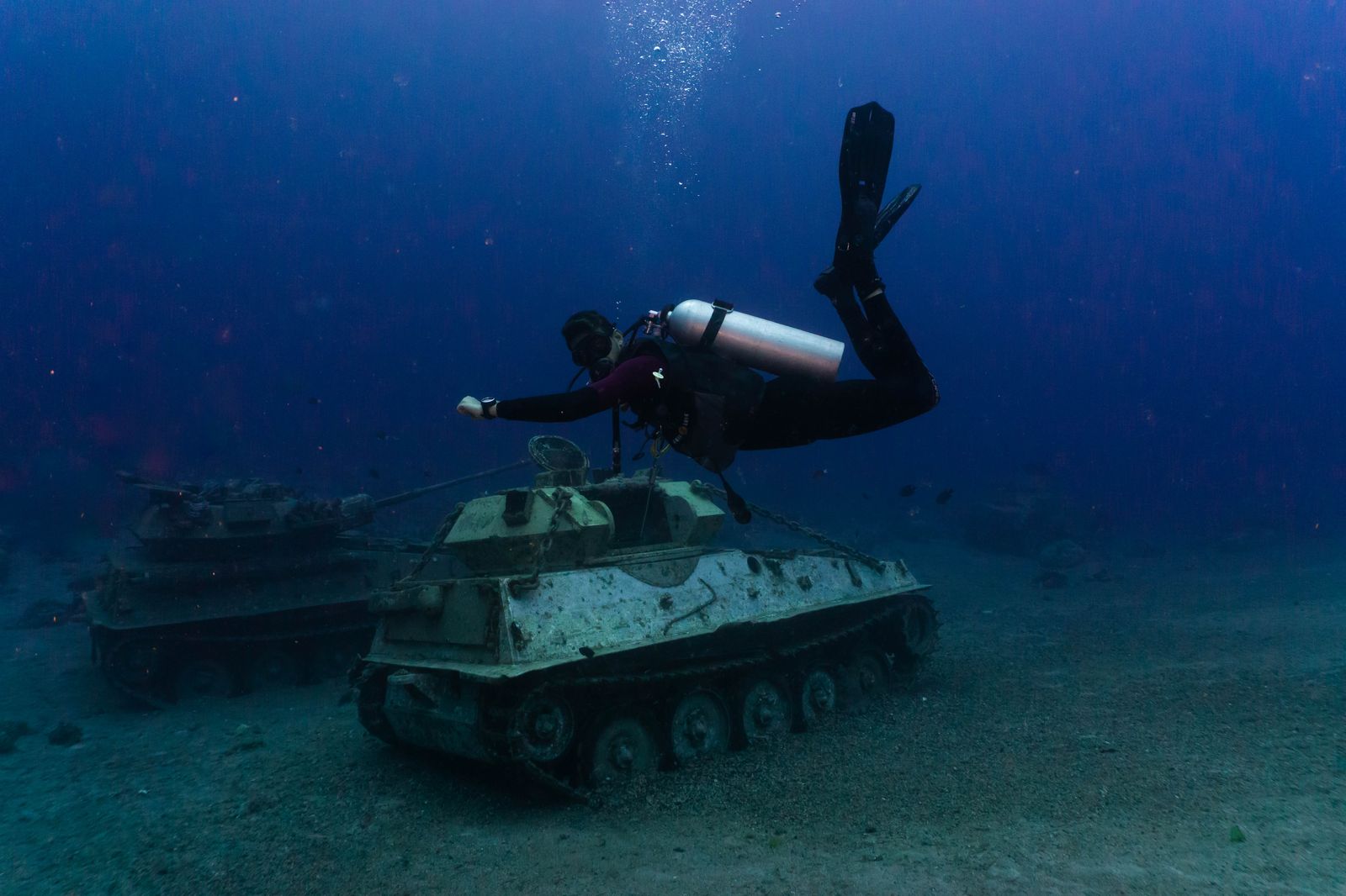 Certified Dive (2 Dives)