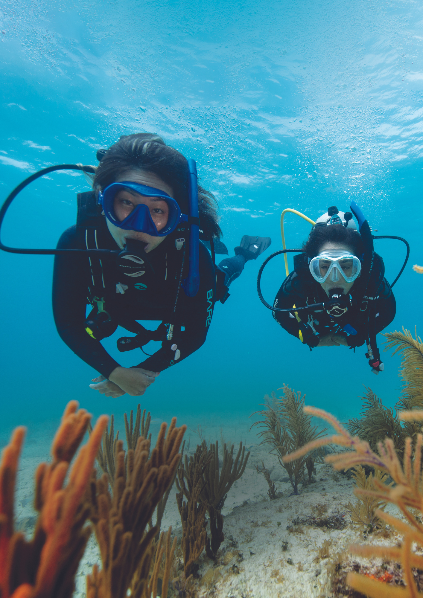 Discover Scuba Diving