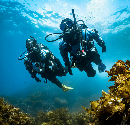 Advanced Open Water Diver